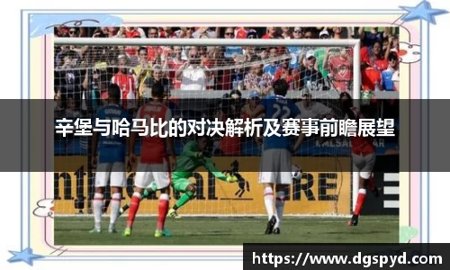 辛堡与哈马比的对决解析及赛事前瞻展望