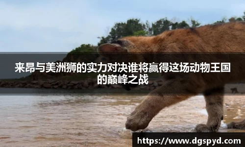 天博体育官网入口